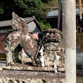 写真: 2013.11.04　佐賀　須賀神社　狛犬の中の狛犬