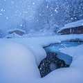 写真: 合掌村的冬雪