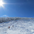 写真: 2013/1/27　八ヶ岳登山　森へと帰る