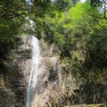 写真: 新緑と馬頭滝
