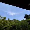 写真: 木染月の妙本寺・・9