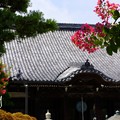 写真: 百日紅咲く寺院・・