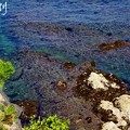 写真: 岩礁の海・・