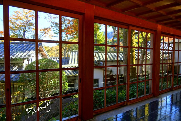 写真: 箱根の紅葉 334