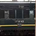 EF81-43