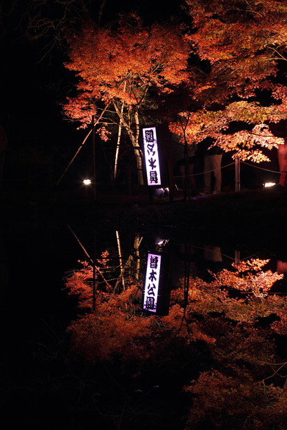 曽木公園-ライトアップ