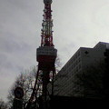 写真: 東京タワーきた
