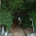 写真: 棒原神社2