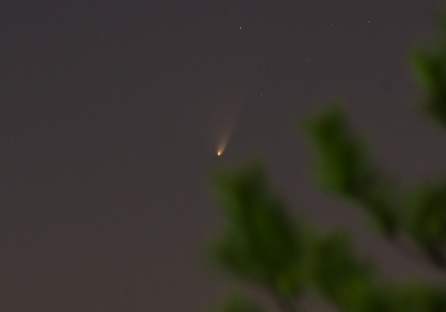 写真: パンスターズ彗星