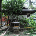 写真: 台風の被害