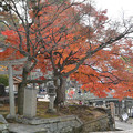 写真: 会津藩のお墓方面へ