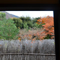 写真: 垣根と嵐山