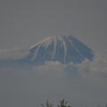 写真: １まきば公園からの富士