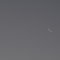 早朝の月と金星２