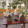 写真: 2013.03.30　マンション敷地内に小鳥の巣箱を設置