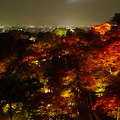 写真: 紅葉と夜景
