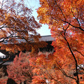 写真: 紅葉が彩る山門！2012n