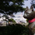 写真: 大佛記念館の猫！130525