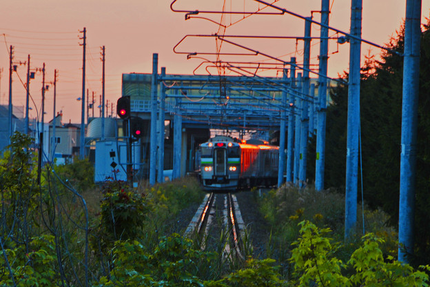 写真: 夕陽を浴びる電車