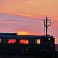 写真: 電車は夕陽を浴びる