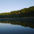 写真: 早朝のダム