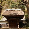 円覚寺 居士林