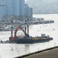 写真: 環状第２号線 隅田川橋りょう（仮）工事とカモメ
