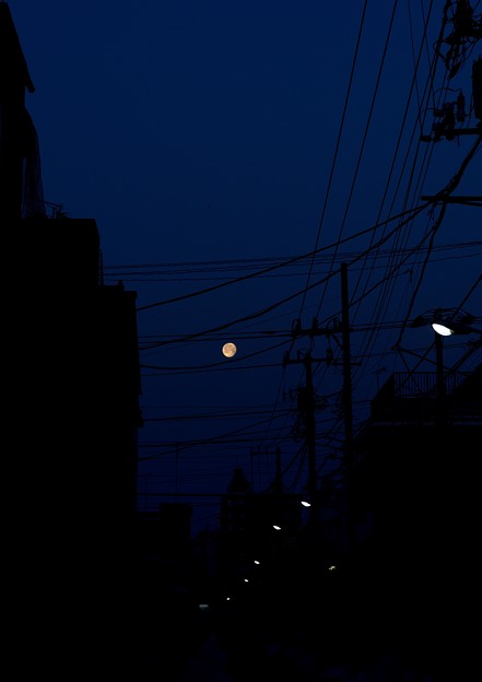 写真: 月と街燈