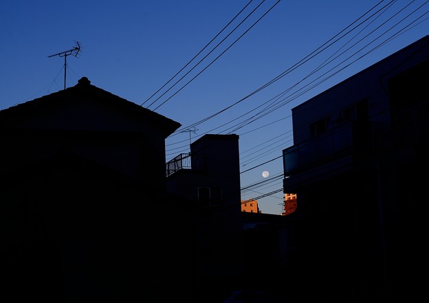 写真: 朝と夜の狭間