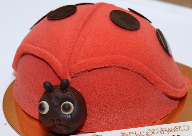 写真: ダロワイヨのコクシネルケーキ