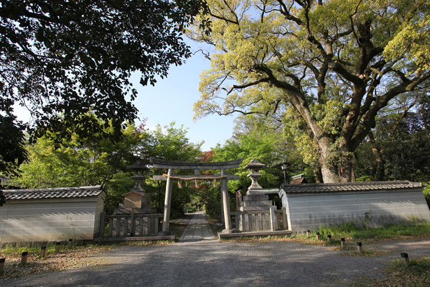 写真: 宗像神社 - 1