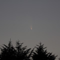 写真: パンスターズ彗星(C/2011 L4)