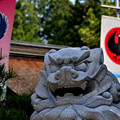写真: 熊野本宮大社社殿前の狛犬阿形