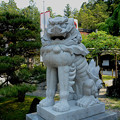 写真: 熊野本宮大社社殿前の狛犬阿形