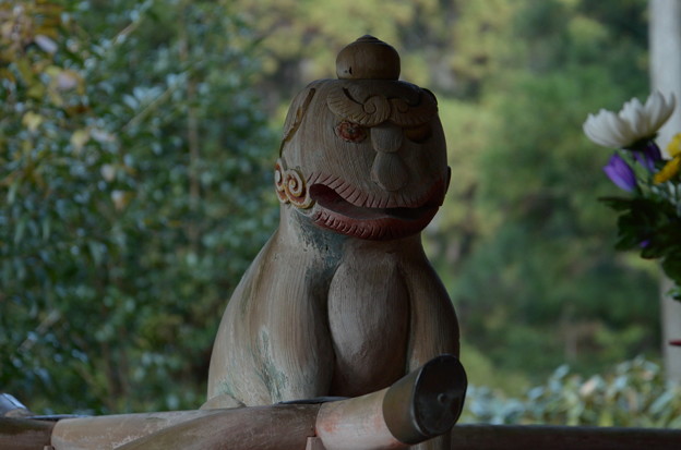 写真: 野川弁財天の木彫り狛犬-阿形