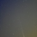 写真: アイソン彗星　11/20未明