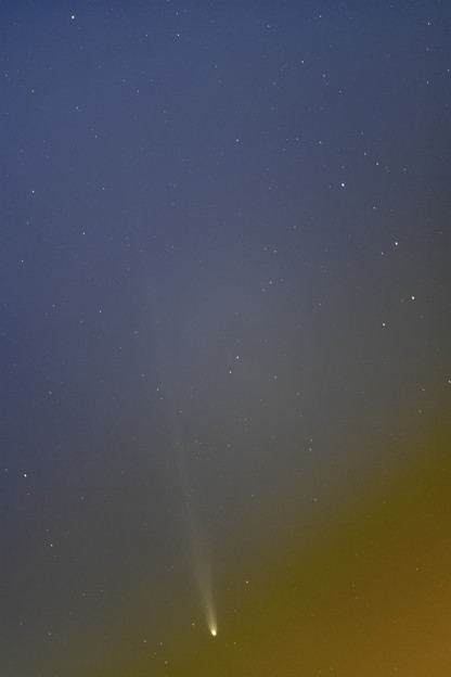 写真: アイソン彗星　11/23未明