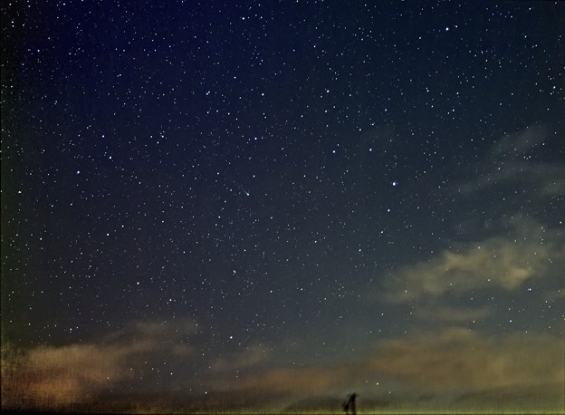 写真: かんむり座とラブジョイ彗星