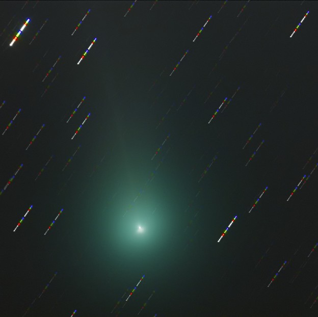 写真: ラブジョイ彗星頭部