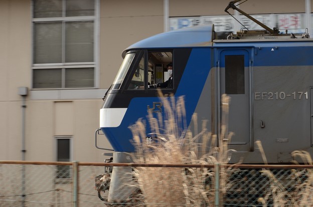 写真: EF210-117 宇都宮貨物（タ）発車！