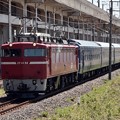 EF81 98牽引黒磯訓練　宇都宮貨物（タ）にて