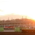 写真: 夕陽の貨物駅