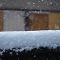 写真: 初雪