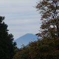 写真: 大山から望む富士