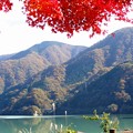 写真: 101120_丹沢湖 (26)