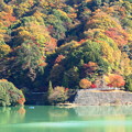 写真: 101120_丹沢湖 (25-1)