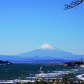 写真: 131129_稲村が崎からの富士山(SL) (19)
