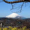 130129_富士山(吾妻山) (36)