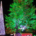 写真: はこだてクリスマスファンタジー2012