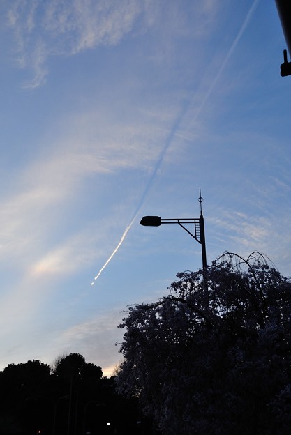 写真: 春風になびく飛行機雲